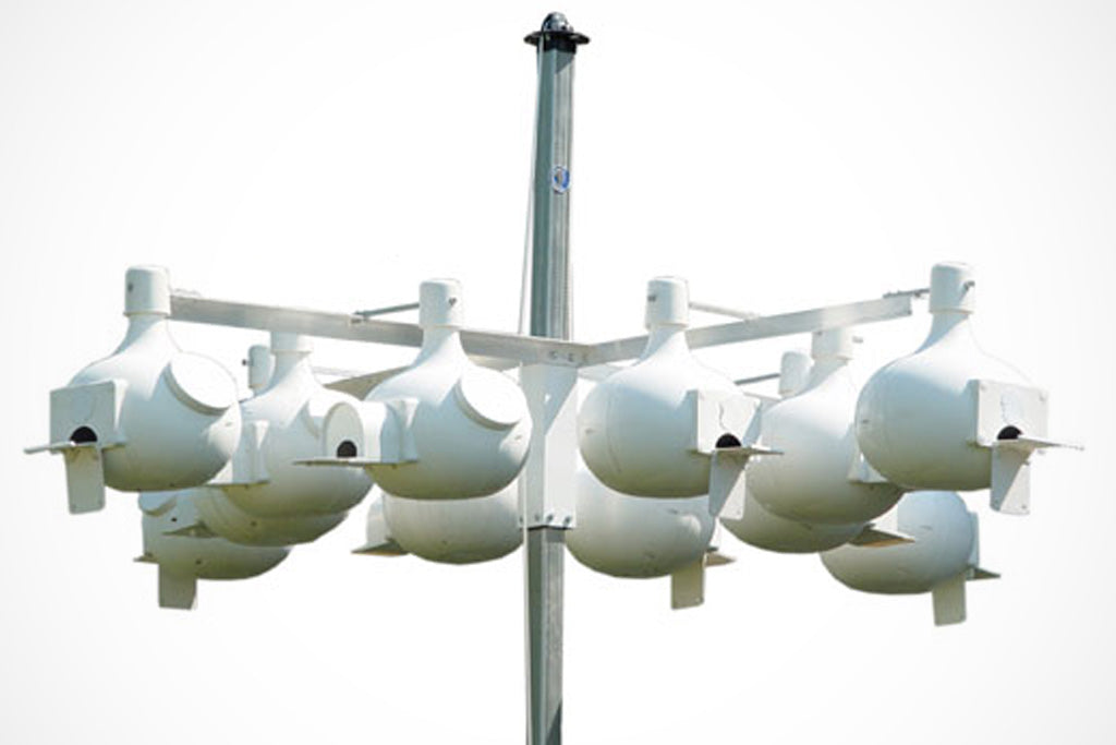 Multi Gourd Rack 12 - 1.9 in Dia (EXRP19)