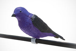 Purple Martin Decoy