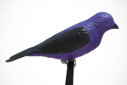 Purple Martin Decoy