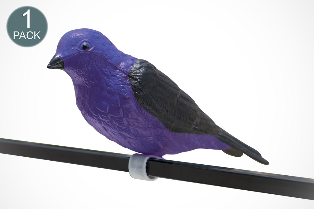 Purple Martin Decoy