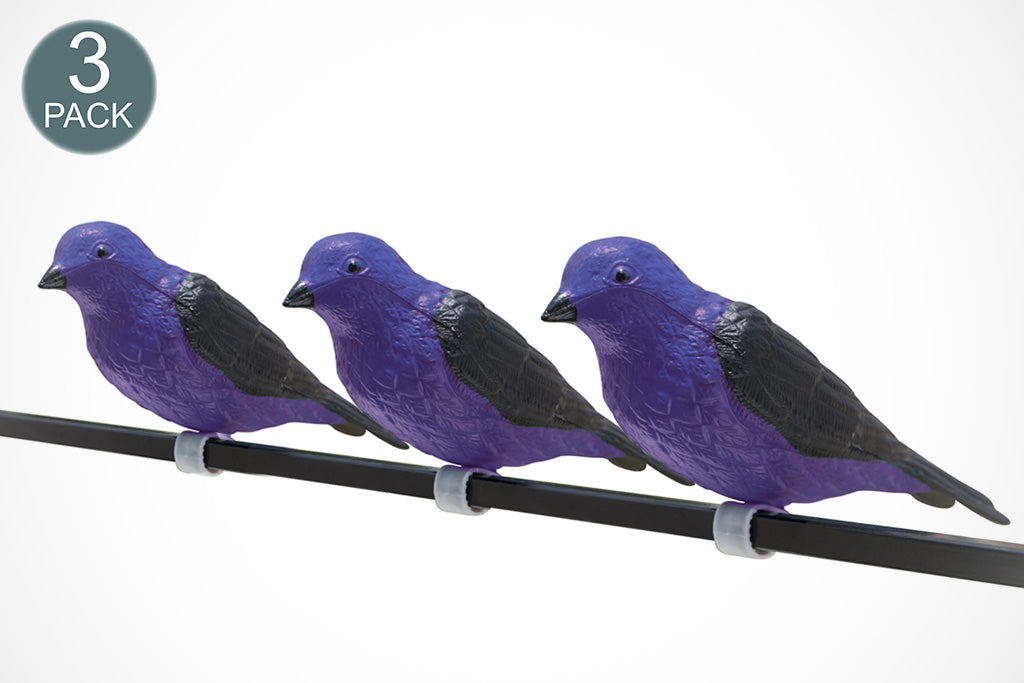 Purple Martin Decoy