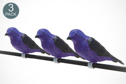 Purple Martin Decoy