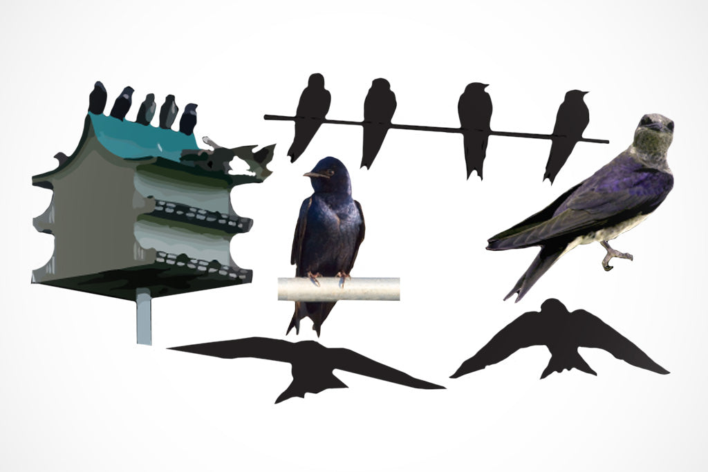 Purple Martin Silhouettes