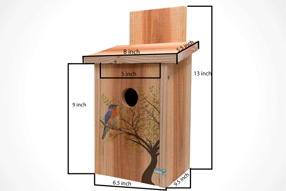 Blue Bird House - Cedar