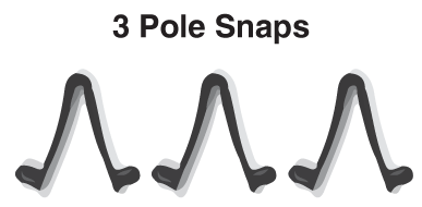 Black Pole Snap Set