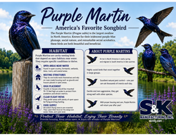 Purple Martin Sign 24x18 /w Stake