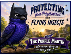 Purple Martin Sign 24x18 /w Stake