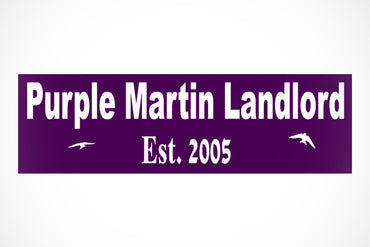 Purple Martin Bumper Sticker