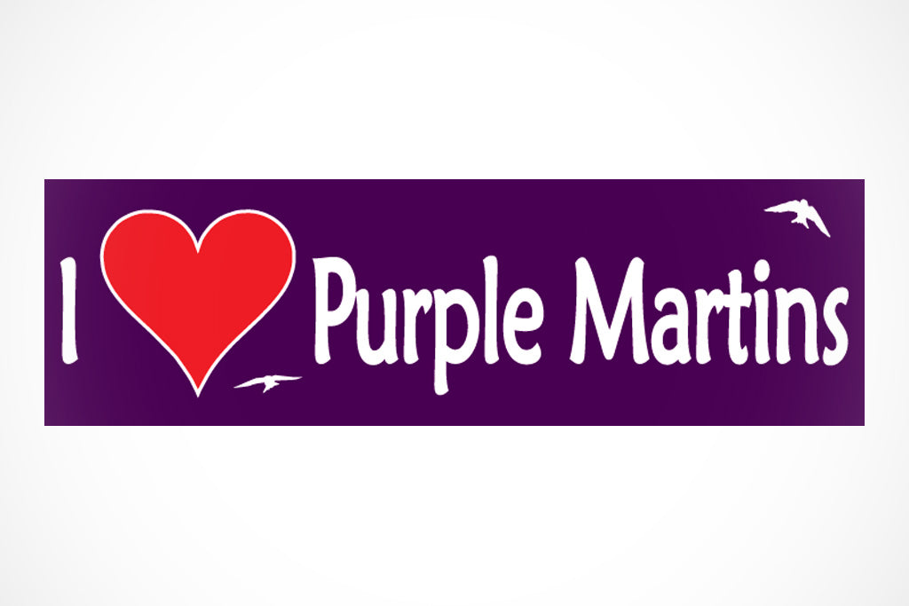 Purple Martin Bumper Sticker
