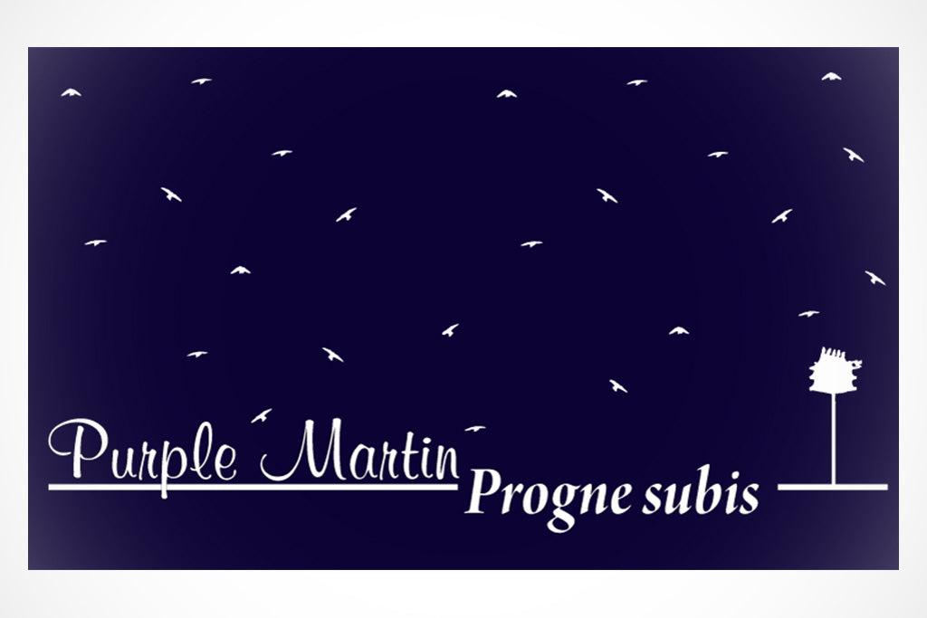 Purple Martin Floor Mats