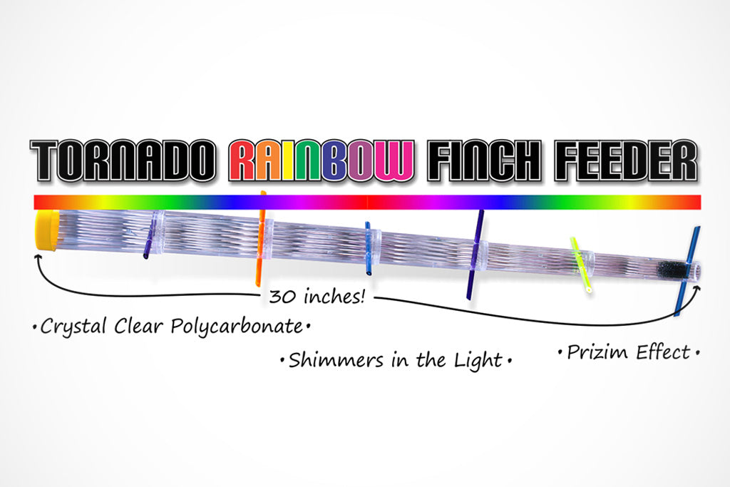 Tornado Rainbow Finch Feeder